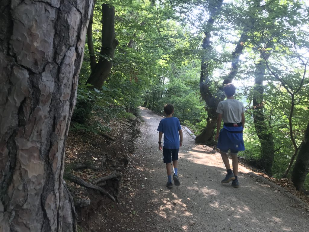 Donaudurchbruch Wandern - durch solche Waldwege führt die Wanderung