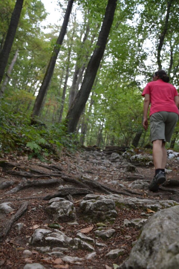 Donaudurchbruch Wanderung - der Wandersteig führt hinauf zum Aussichtspunkt